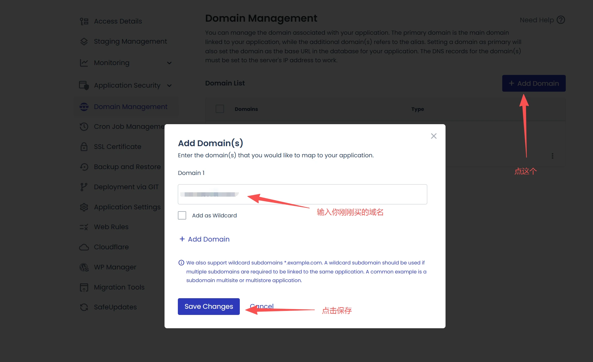 Cloudways Domain Management 添加主域名示例